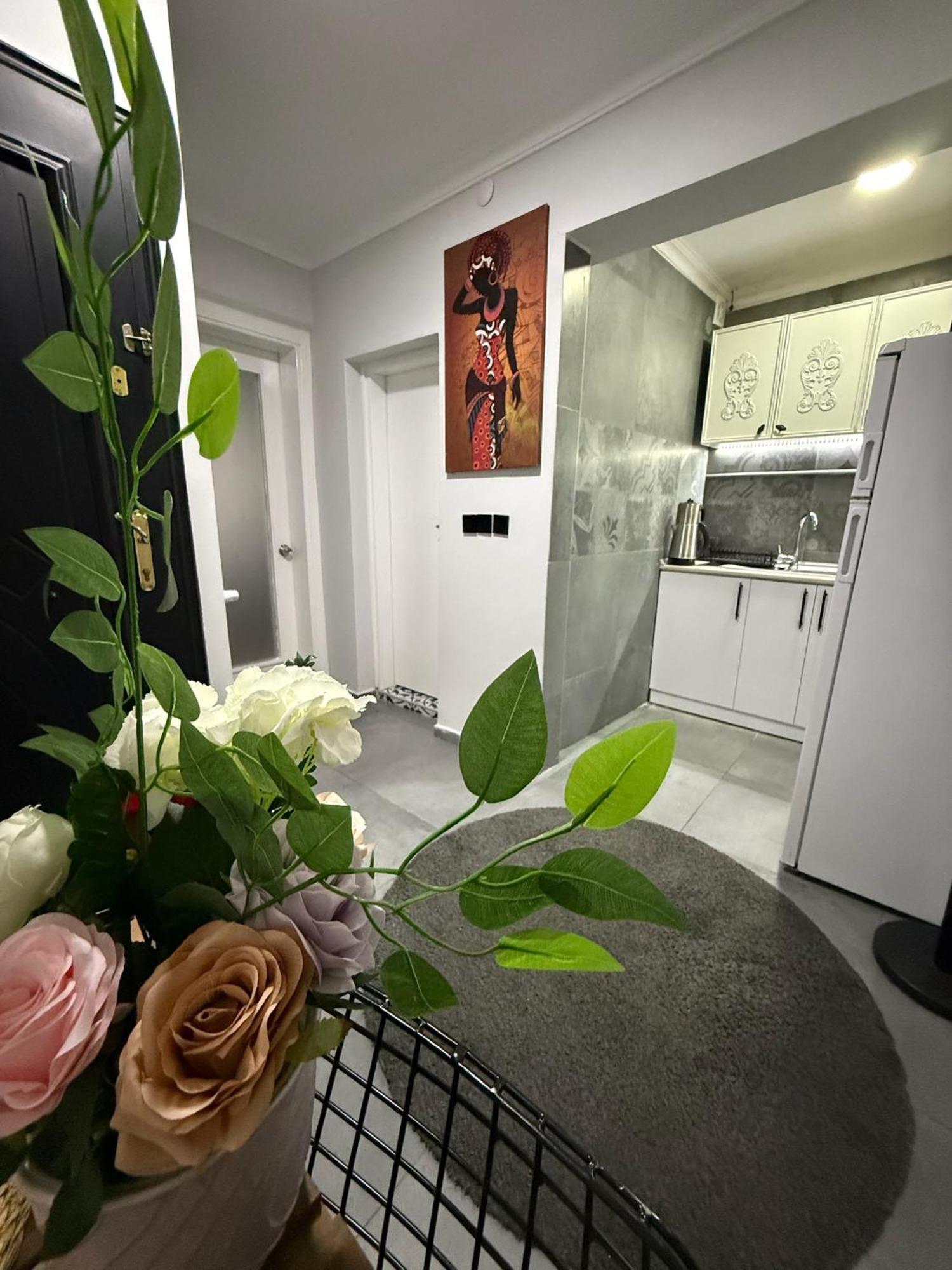 Aparthotel Gv Galata Provincia di Istanbul